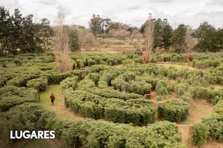 Cuatro mil plantas de bambú, dos laberintos y una laguna transformaron una estancia icónica