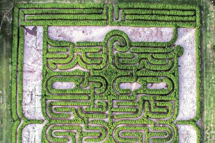 Laberintos y sueños raros: planes de evasión en la economía pandémica