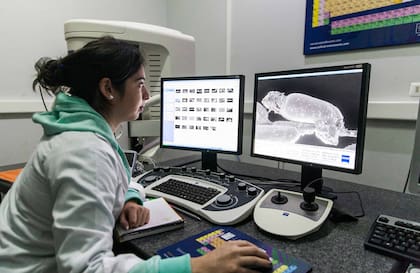 Los bioarqueólogos toman información de los huesos para estimar la edad hasta la que vivieron las personas