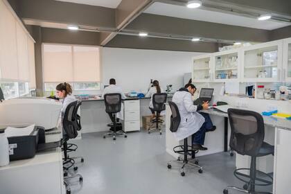 Laboratorio de Puna Bio, en Tucumán