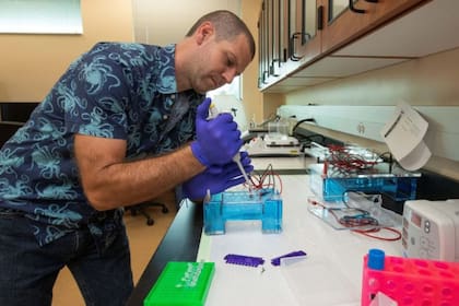 Laboratorio del Centro de Investigación y Educación de Fort Lauderdale (FLREC). (UF/IFAS)