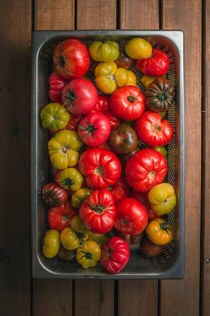 Labrar es un proyecto que rinde homenaje a las raíces de agricultores y viticultores