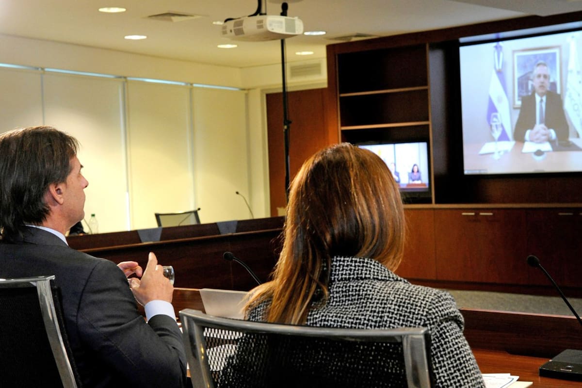 Lacalle Pou durante un diálogo virtual con Alberto Fernández, en julio pasado