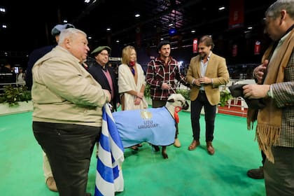 Lacalle Pou estuvo en una premiación de ovejas