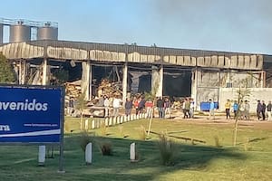 Lácteos Aurora procesa por día más de 100.000 litros de leche