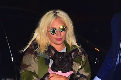Lady Gaga junto a Asia, su mascota que fue hallada fuera de peligro