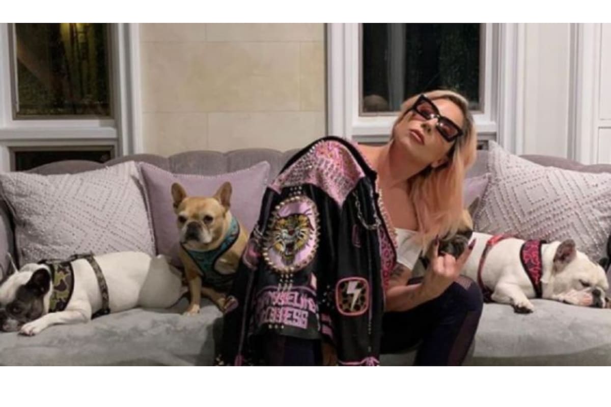 Lady Gaga junto a sus tres perros