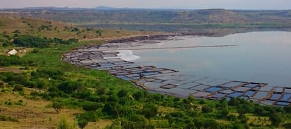 Lago Katwe en Uganda, donde el niño de dos años fue tragado por un hipopótamo