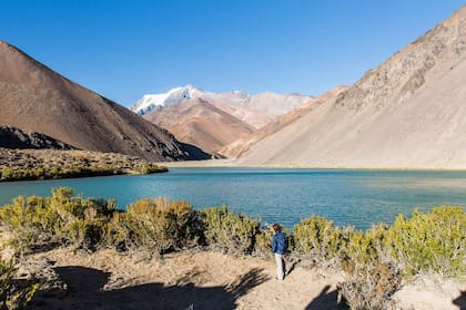 El camino de ripio llega hasta Laguna Blanca.