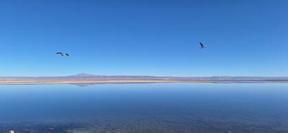 Laguna Chaxa