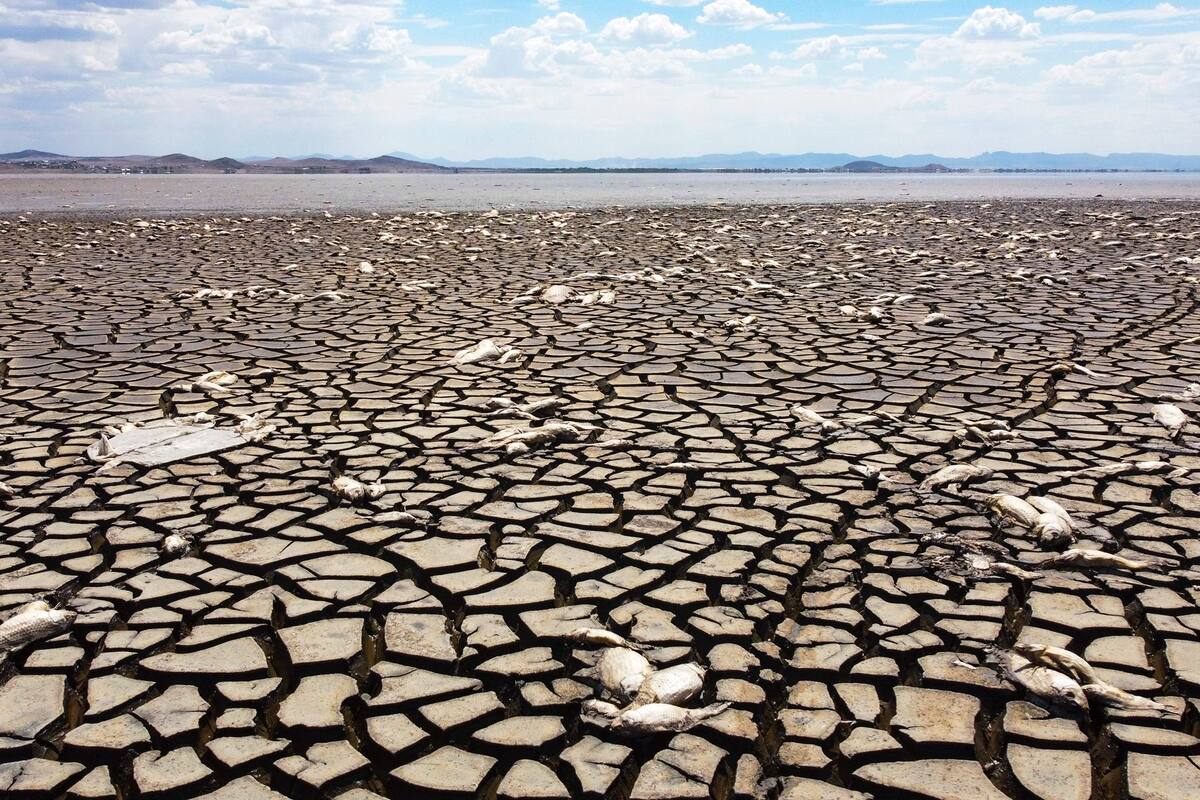Laguna de Bustillos, Chihuahua, México. Edición fotográfica de Jesica Rizzo