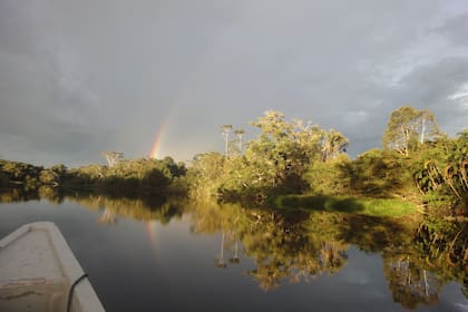 Laguna Jatuncocha. Aguarico, Ecuador.