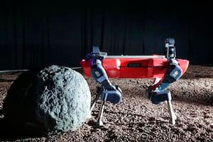 Laika fue la perra que protagonizó la carrera espacial de mediados del siglo pasado. No pudo regresar a nuestro planeta. Hoy el perro robot es una mejor alternativa