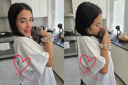 Lali adoptó a un gatito llamado Esteban (Foto: Instagram @patitas.villa.rosa)