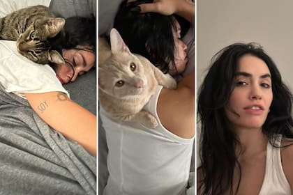 Lali Espósito descansando con sus gatos
