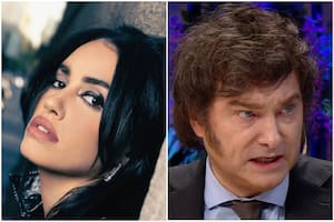 Milei volvió a cargar contra la cantante y la acusó de cobrar 350.000 dólares por un show