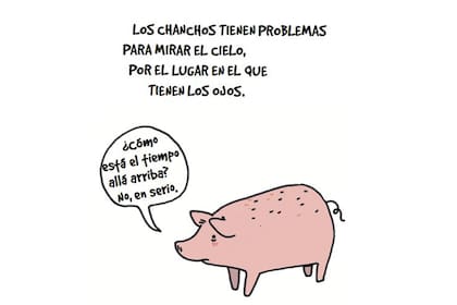 Lamentables datos animales
