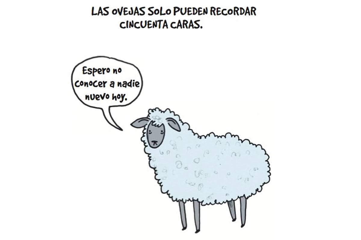 Lamentables datos animales