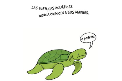 Lamentables datos animales