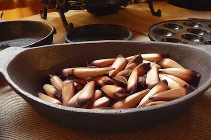Langostinos, carne de guanaco, cerezas, centolla y piñones, cinco productos que se pueden encontrar en la Patagonia