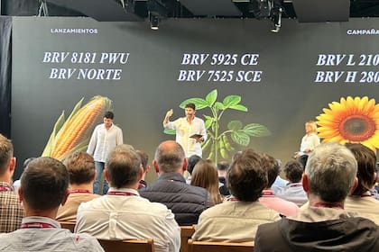 Lanzamiento de los nuevos productos para la próxima campaña de Brevant Semillas