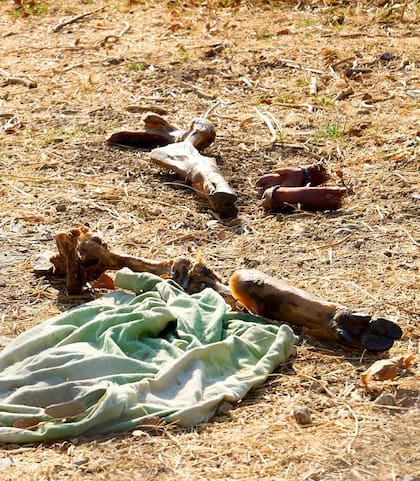 Lanzan huesos de jamón al terreno donde se construirá la mezquita
