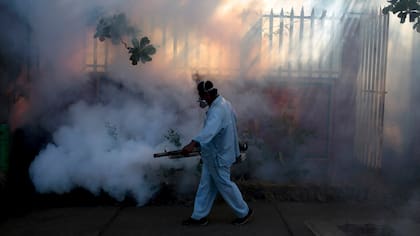 Lanzaron la campaña anual contra el mosquito transmisor del dengue, zika y chikungunya