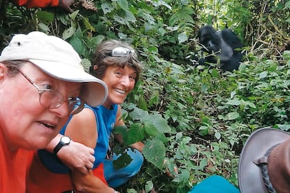 Según una investigación, los turistas estarían esparciendo el Covid-19 entre los gorilas de montaña