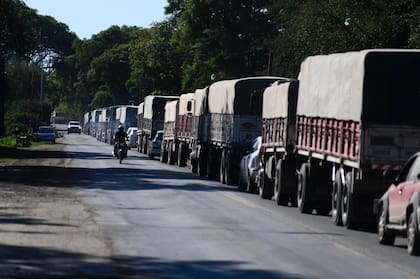Largas filas de camiones se suelen registrar en el Gran Rosario con la cosecha