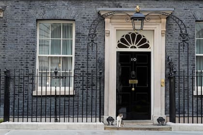 Larry, el gato, está sentado en el umbral del número 10 de Downing Street, en Westminster