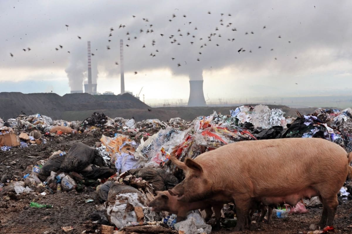 Las 100 empresas que mayor cantidad de gases de efecto invernadero emiten