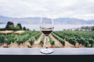 Las 3 bodegas en Buenos Aires para disfrutar el fin de semana largo