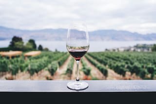 Las tres bodegas a pocas horas de Buenos Aires para disfrutar el finde XL
