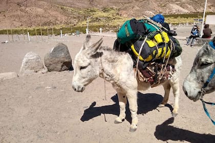 Las 82 personas que viven en El Tolar está aisladas