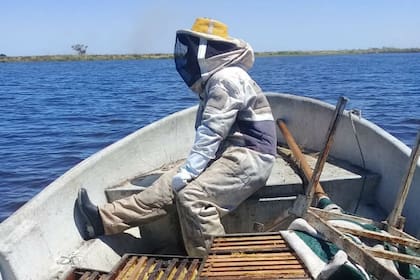 Las abejas recolectan néctar de la vegetación de las islas