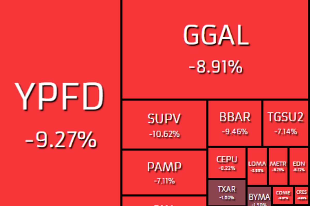 Las acciones argentinas caen hasta 13%