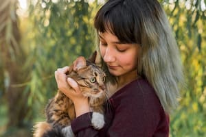 Las acciones humanas que los felinos no toleran