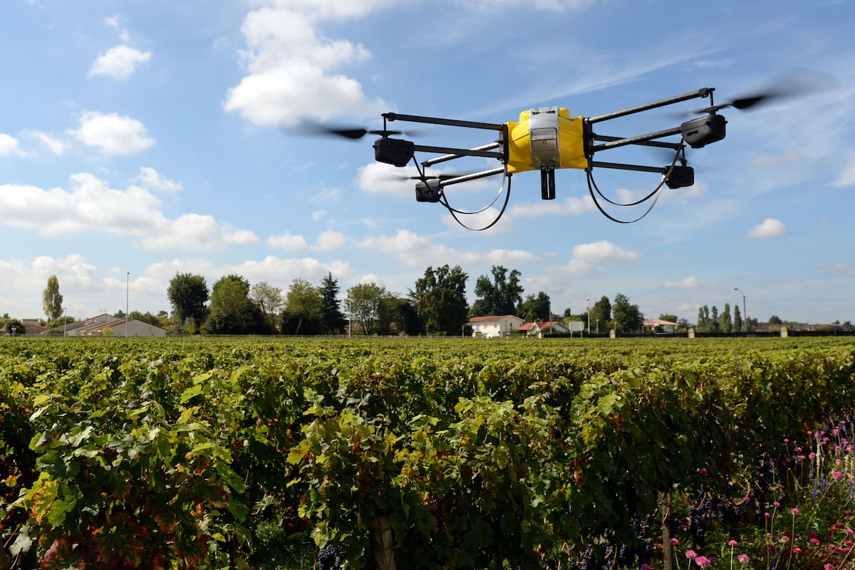 Las aceleradoras buscan potenciar los proyectos agtech