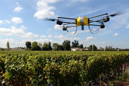 Las aceleradoras buscan potenciar los proyectos agtech