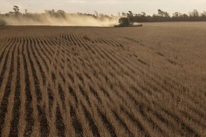 Las Acequias: Cosecha de soja en Las Acequias, Cordoba