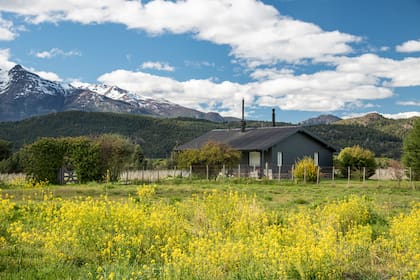 Las actividades de Casa Yagüe incluyen: los viñedos y su bodega, el turismo con tres casas inmersas en el paisaje, con sus simpáticos jardines, y el restaurante, donde se pueden degustar los excelentes vinos acompañados de sabores de la huerta, toda una experiencia patagónica