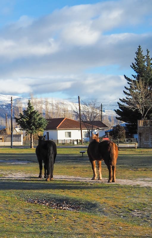 Las actividades de estos pueblos se basan en una agenda que dominan el trekking por bosques y senderos naturales, cabalgatas, navegación o simplemente gozar una comida típica