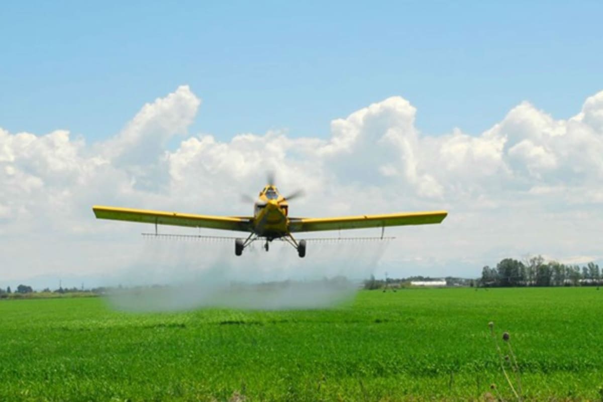 Las acusaciones contra el glifosato no solo están infundadas, sino que han sido contrarrestadas por más de 900 estudios científicos