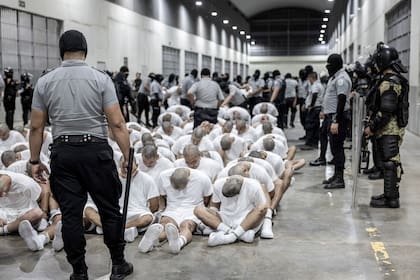 Las acusaciones judiciales contra Trump por las deportaciones a El Salvador y Honduras (Oficina de prensa de la presidencia de El Salvador vía AP)