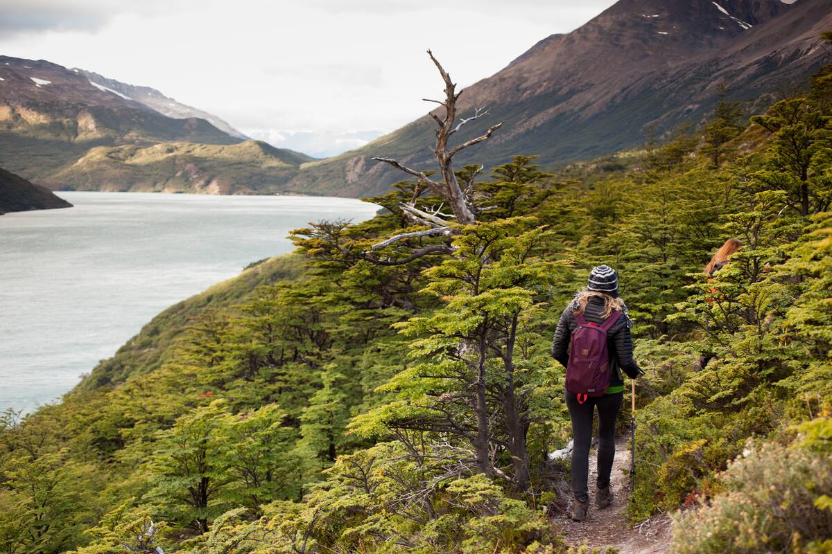 Las agencias que trabajan con la Patagonia como destino, como en el caso de Wilderness Patagonia, impulsan un turismo más sustentable y ecológico