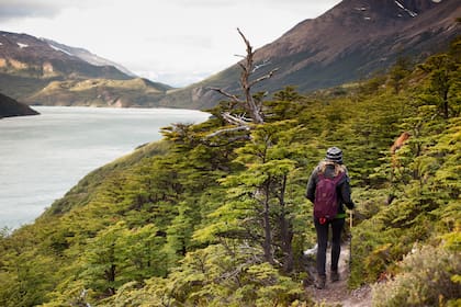 Las agencias que trabajan con la Patagonia como destino, como en el caso de Wilderness Patagonia, impulsan un turismo más sustentable y ecológico