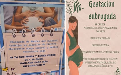 Las agencias reclutan madres gestantes por medio de avisos
