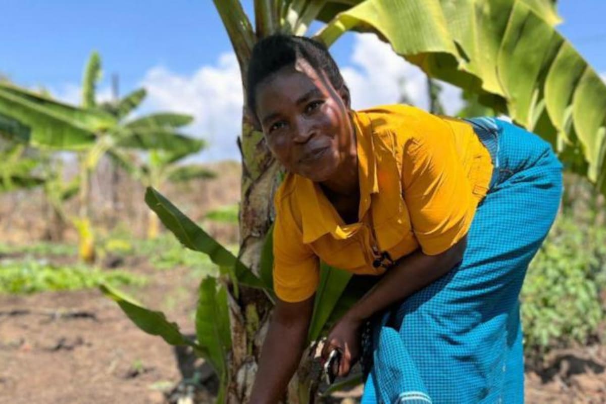 Las agricultoras que hacen vino con bananas para salvar sus cultivos
