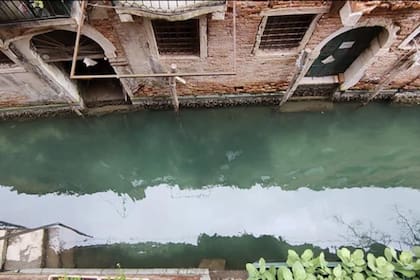Las aguas de Venecia se ven cada vez más cristalinas.