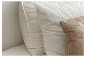 Las almohadas acumulan sudor y células muertas con el tiempo